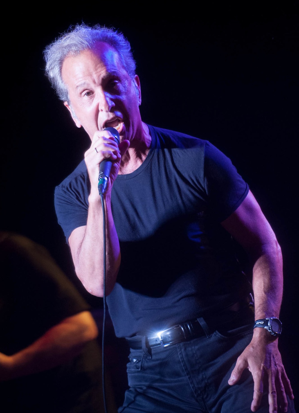 Steve Walsh bei einem Kansas-Konzert (2012)